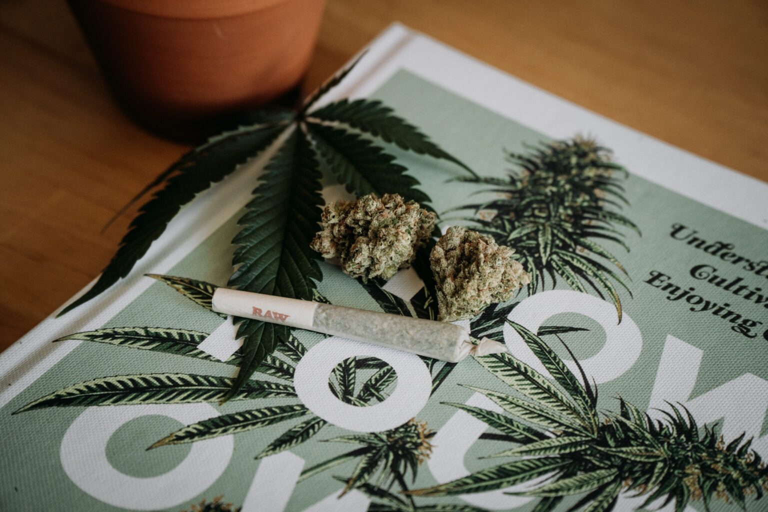 Get Your Weed Delivered in Amagansett: TribalDash and Cloud 9 Dispensary Join Forces