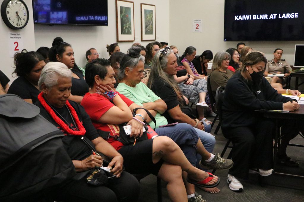 The Board of Land and Natural Resources heard testimony for six hours about whether to accept the U.S. Army's Final Draft Environmental Statement for Pōhakuloa Training Area on the Big Island. (Photo Courtesy: Department of Land and Natural Resources)