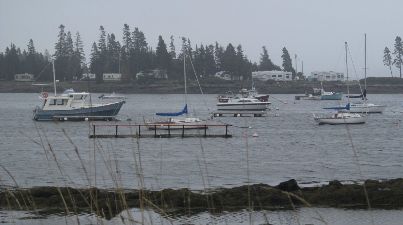 Kingfish Maine and the Cost of Growth: How Maine’s Department of Environmental Protection Permit Process Challenges Environmental Law - JURIST - Commentary