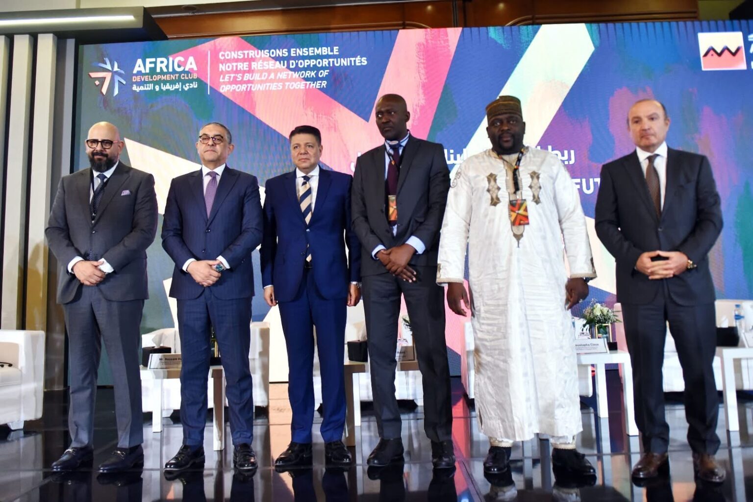 Egypt developing sustainable strategies for African investment, trade integration: GAFI Head
