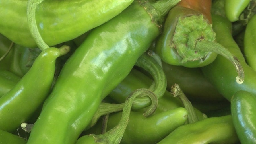 Federal funding cuts threaten NASA’s effort to grow New Mexico chiles in space