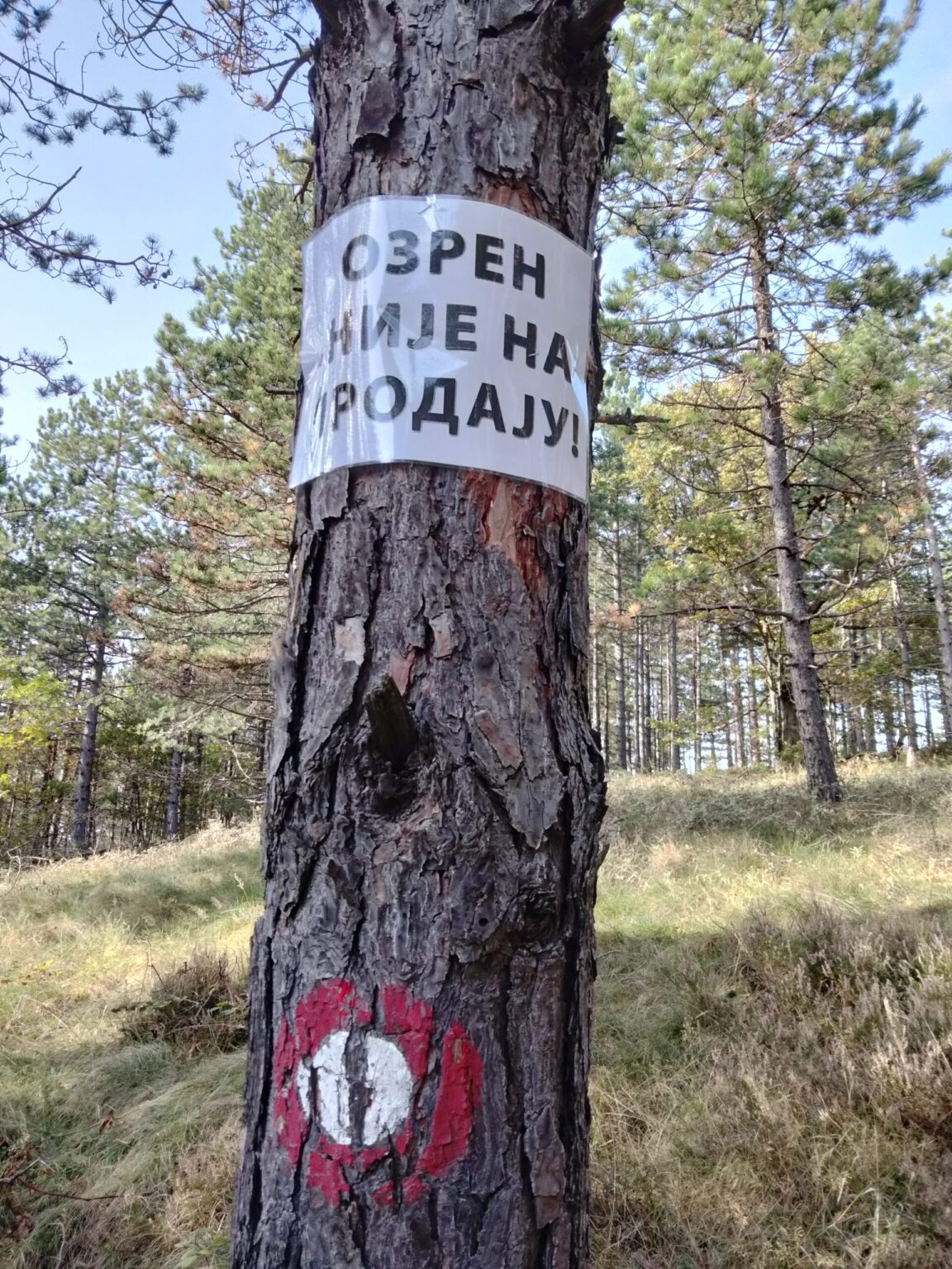 Grassroots Resistance to Environmental Destruction in Bosnia-Herzegovina, Part III: “Leave While We Are Still Polite”