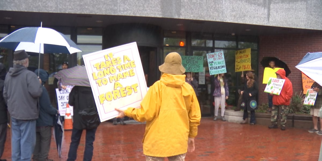Activists call for state leaders to strengthen environmental protections