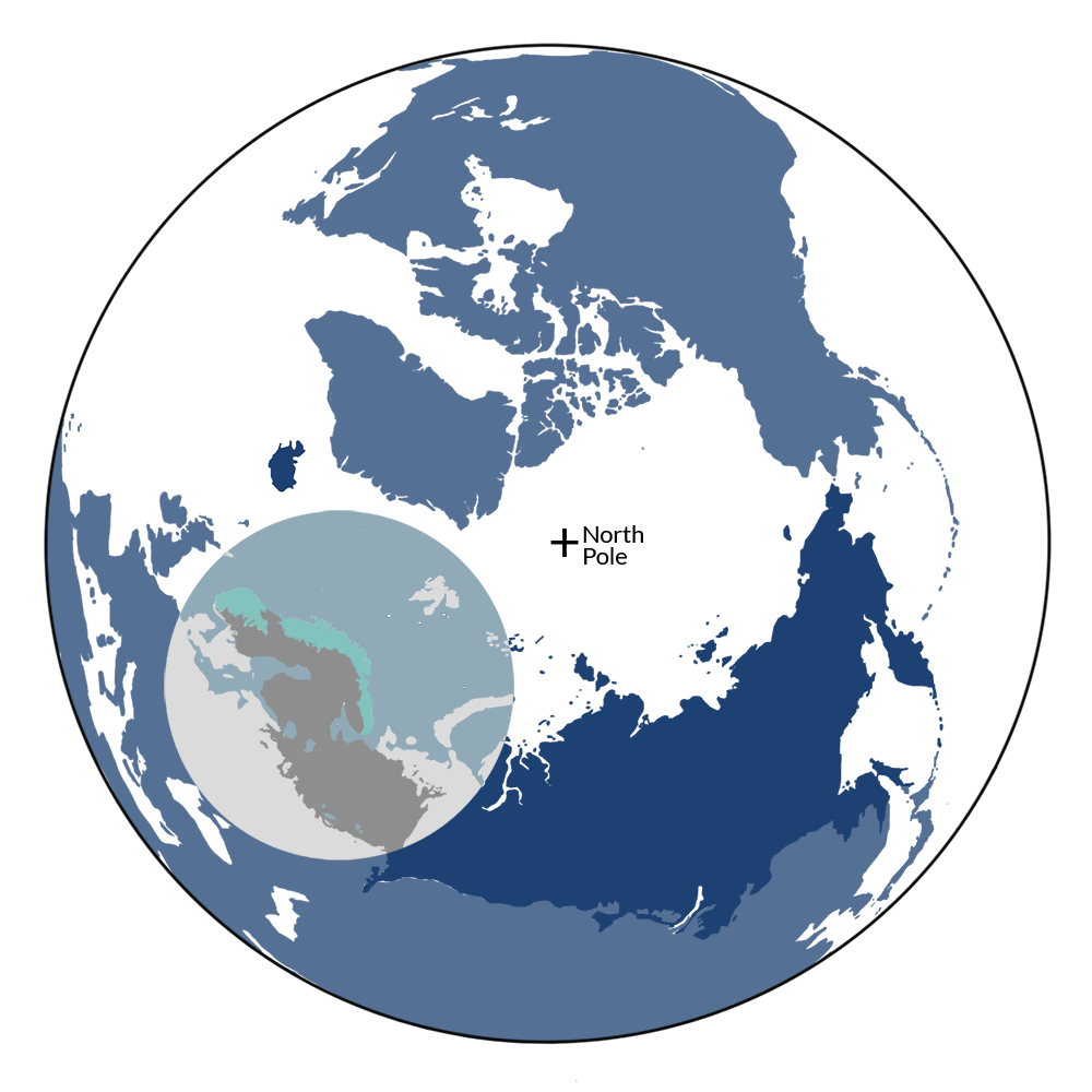 The Norway lemming is the iconic species of the Scandinavian Birch & Coastal Conifer Forests bioregion (PA3), located in the Scandinavia & West Boreal Forests subrealm of Subarctic Eurasia.