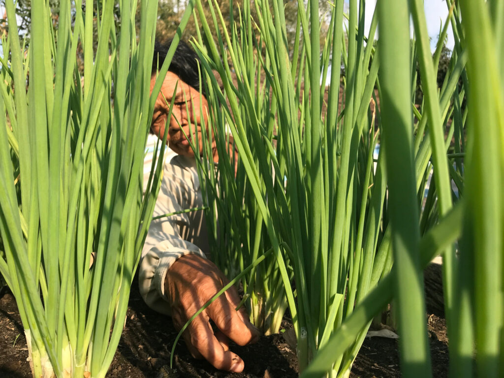 Funding Partner Spotlight | UNEP