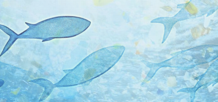 World Environment Day 2025 -Youth Event- Toward a Future Free of Plastic Waste