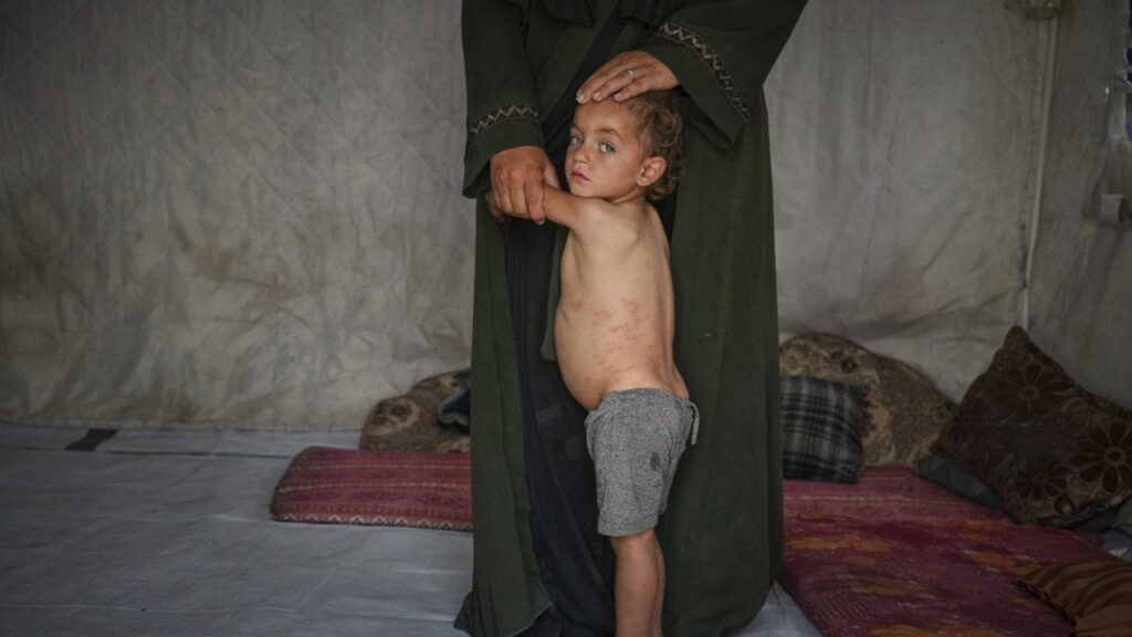 Former Israeli General: Israel 'Kills Babies as a Hobby' in Gaza