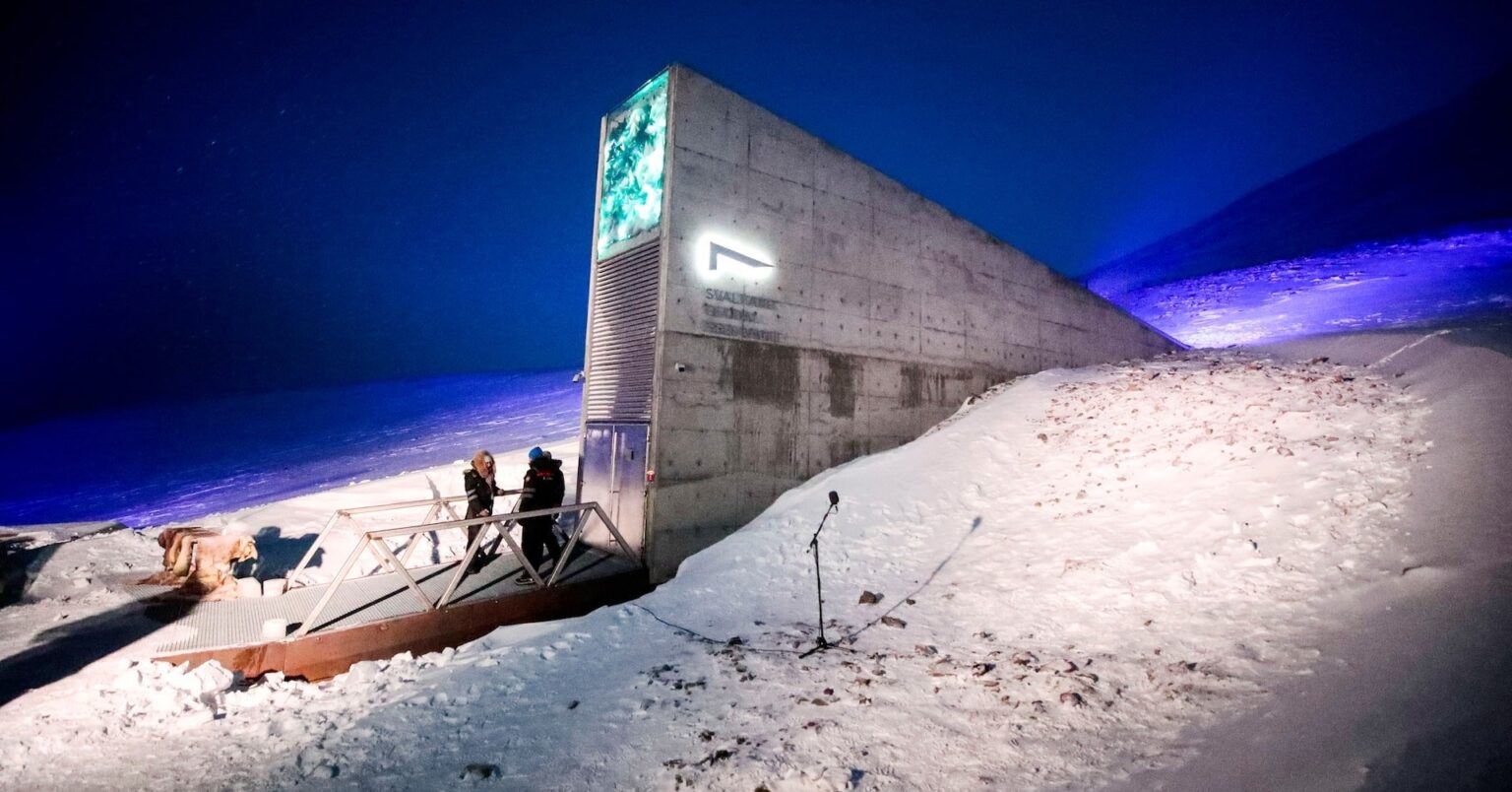 Arctic doomsday seed vault gets more than 14,000 new samples