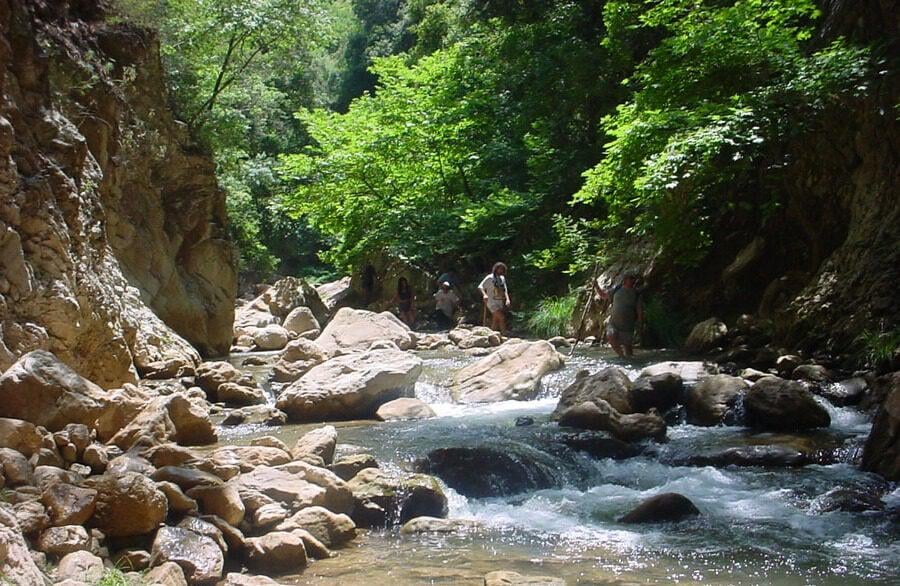 Neda: Hiking that evolved into a tragedy - 25 -meter in a 25 -meter ravine fell