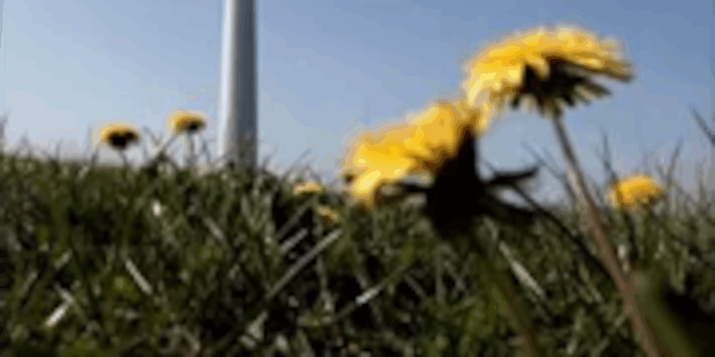 Over 100 workers fired from National Renewable Energy Lab in Golden