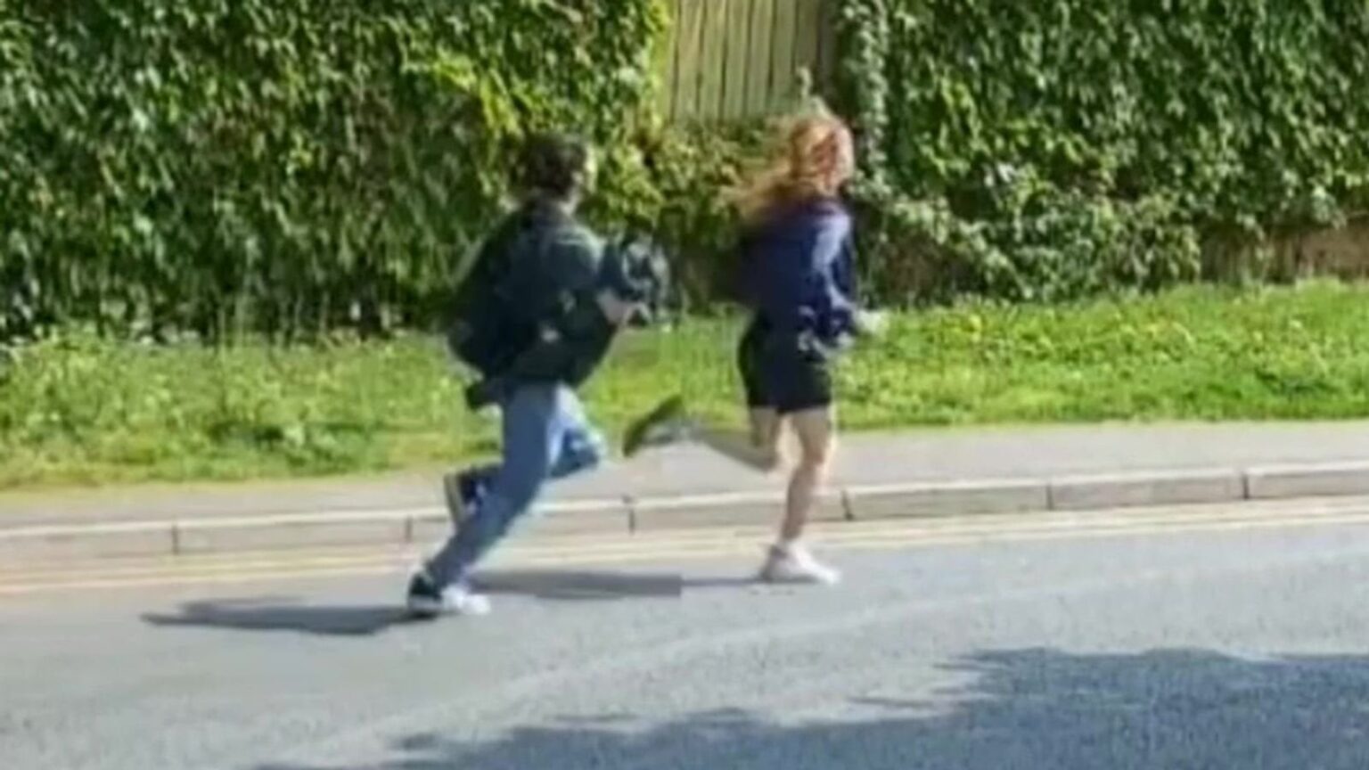 Two teenagers arrested over torture and killing of kittens