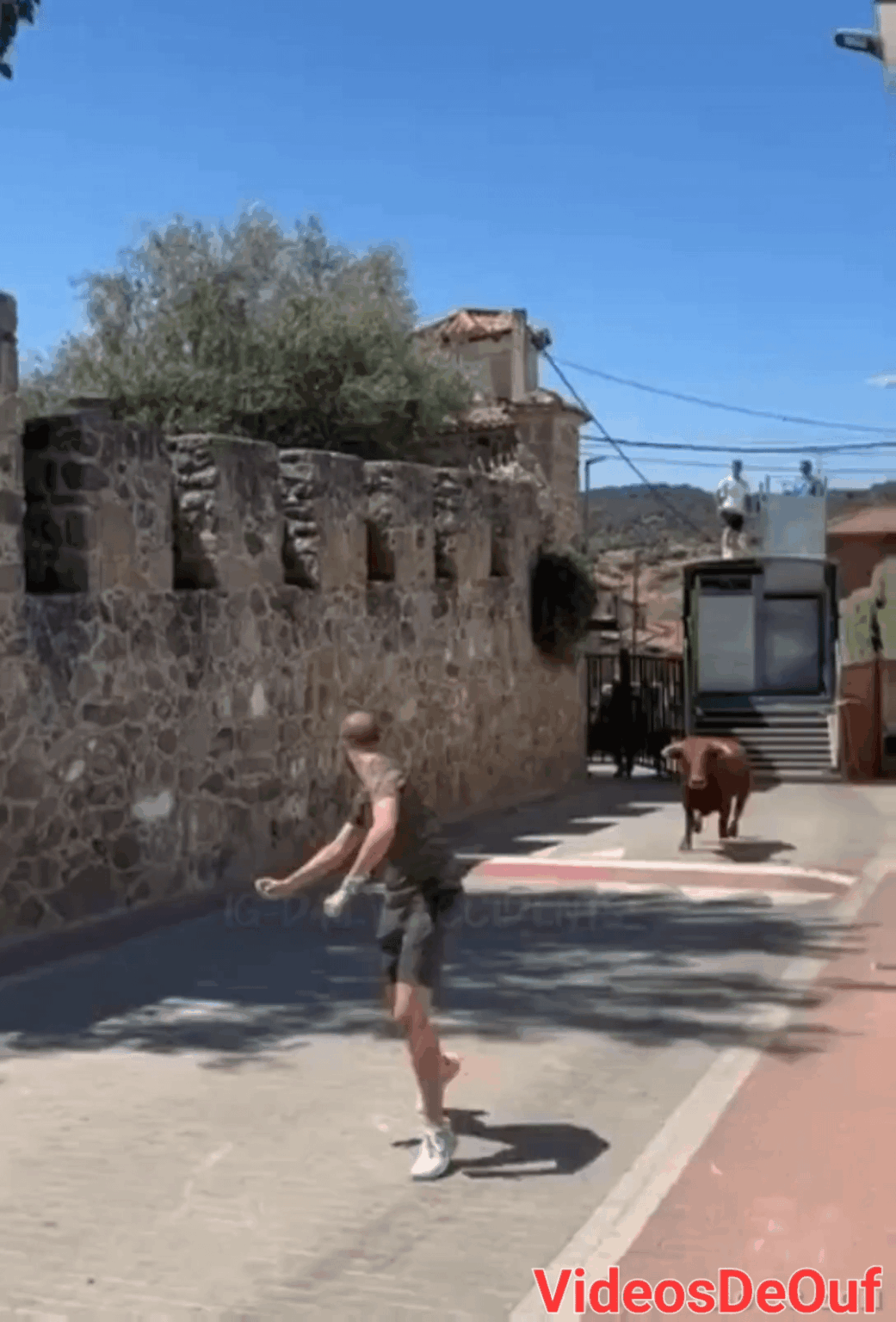 Another nice video of a guy getting fucked by a bull.