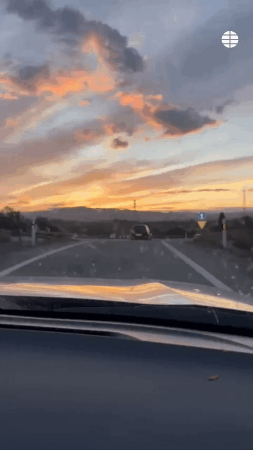 The dog chases the car of its owner after leaving him in Almeria
