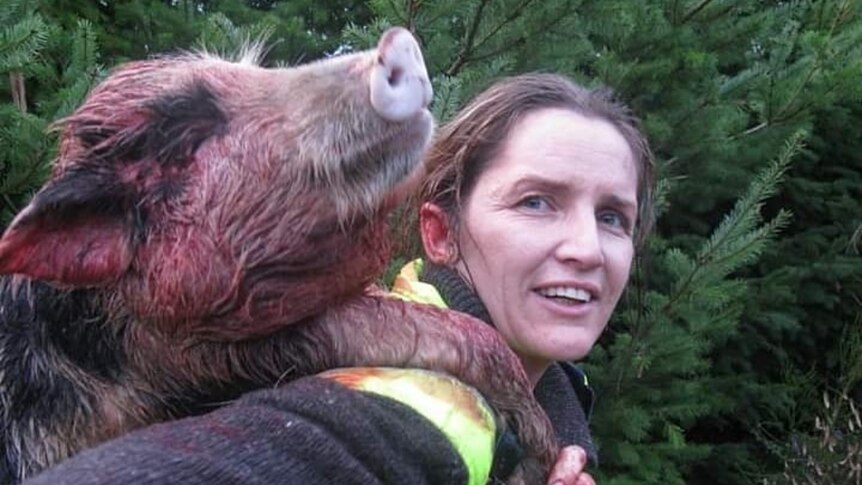 Hunting and gathering wild food in New Zealand