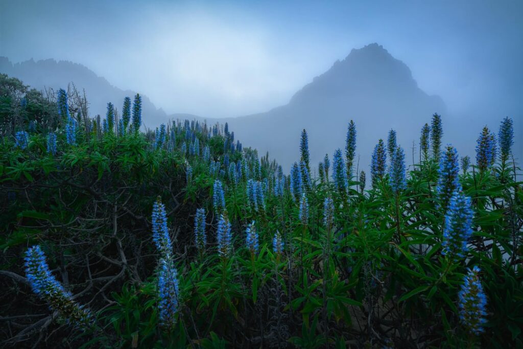 Landscapes of Gran Canaria [OC]