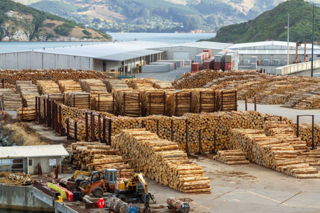 Exports of logs from New Zealand to India surge 58% in April