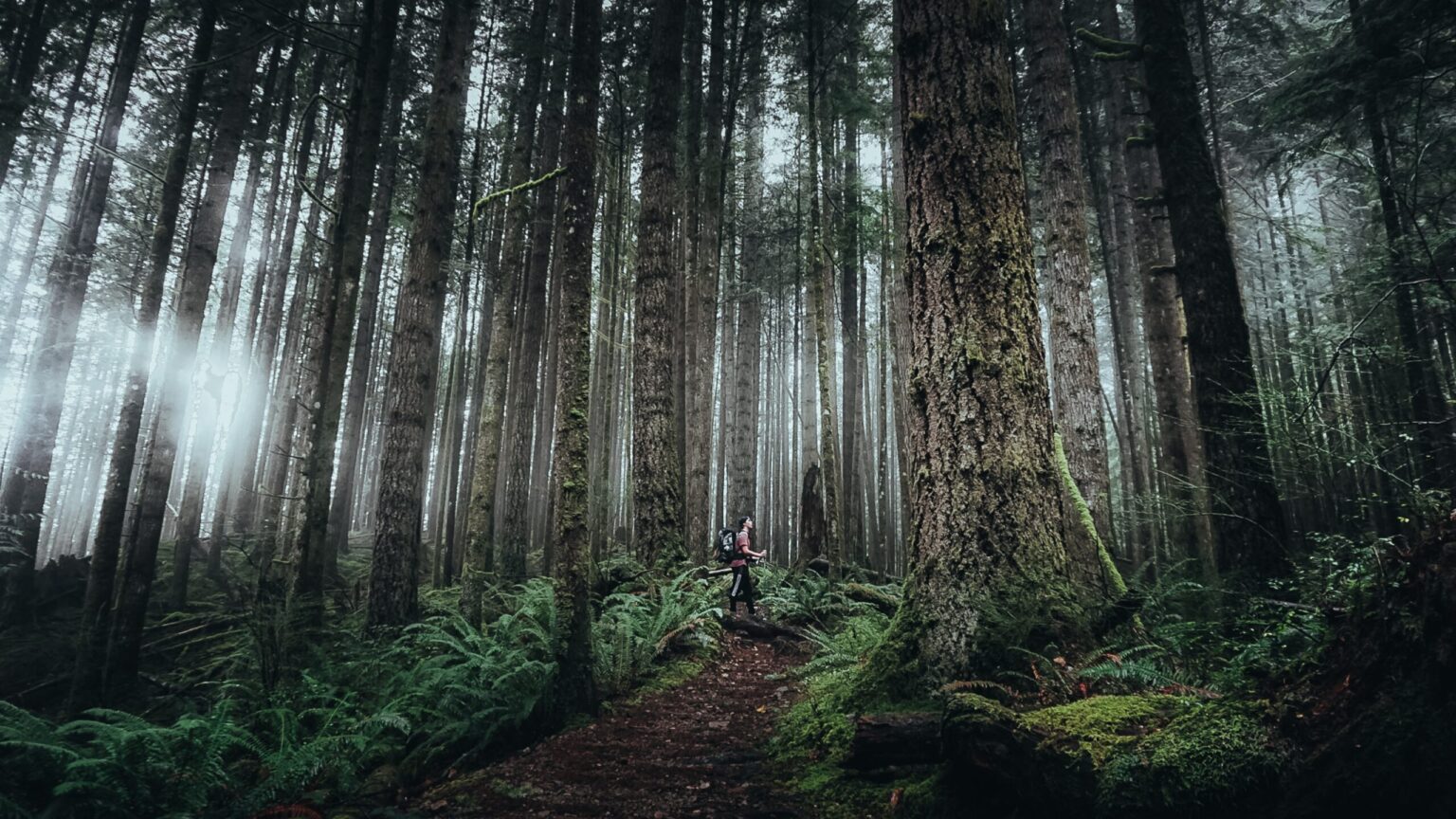Bill 15 is a threat to democracy and the environment — here’s what you need to know - Ecojustice