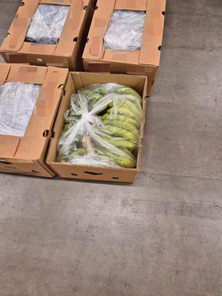 Nearly 150 kilo of cocaine found in Bama’s banana boxes