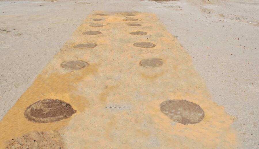 clay-circles-tree-lined-entry-road