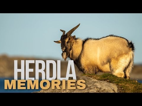 Vews from Herdla Island