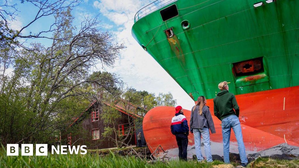 Man in Norway wakes to find huge container ship in garden Man in Norway wakes to find huge container ship in garden