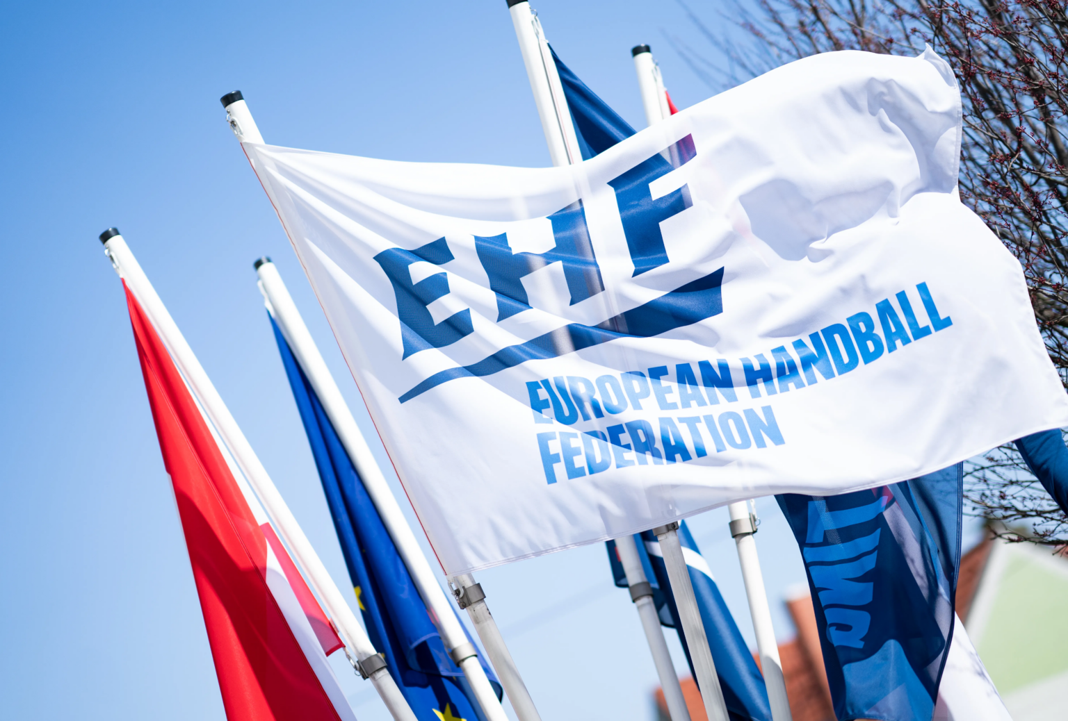 Court of Handball fines Serbia and Slovenia Handball Federations