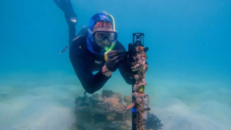 Enhancing how we hear the health of coral reefs
