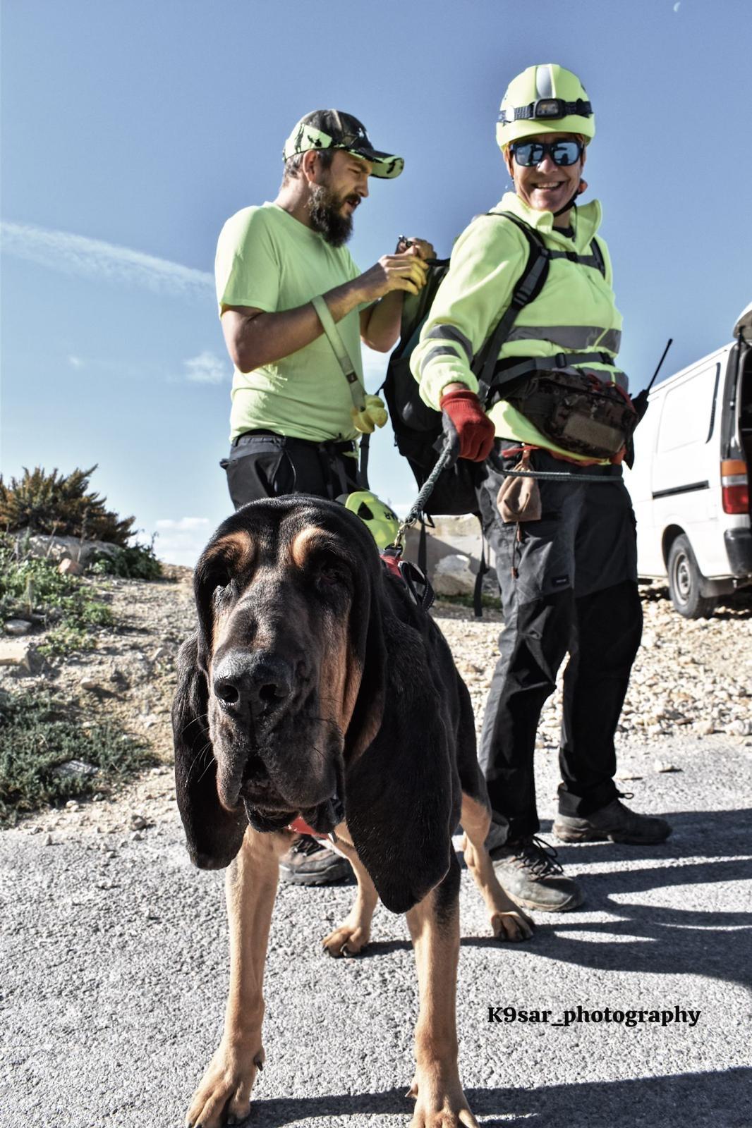 K9 Bonnie getting ready for a search.