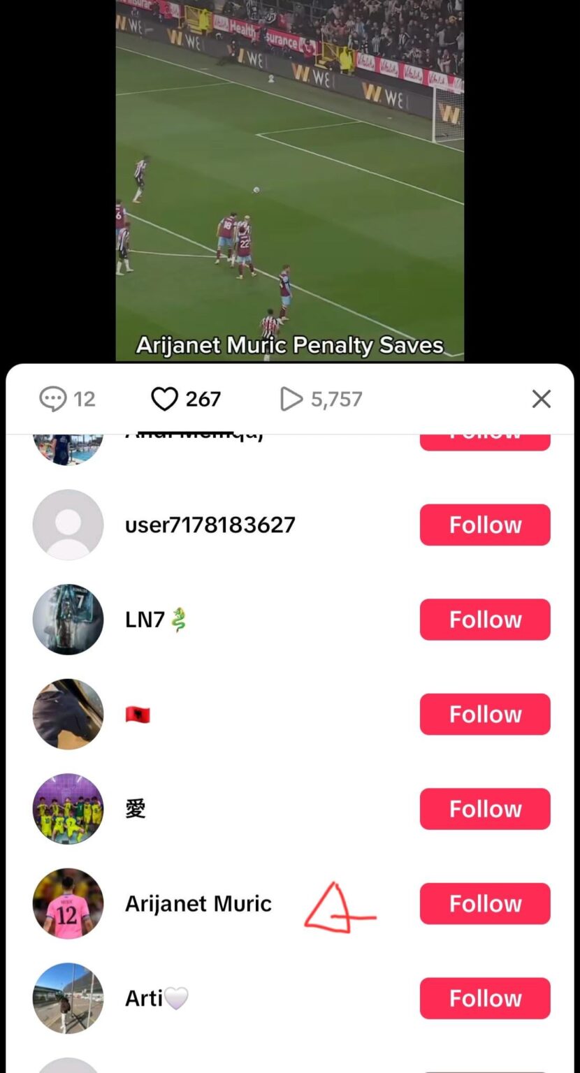 Do you know if this is the current account of Aro Muric Tiktok?