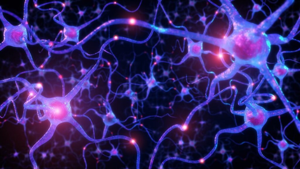 AI breakthrough identifies active brain neurons