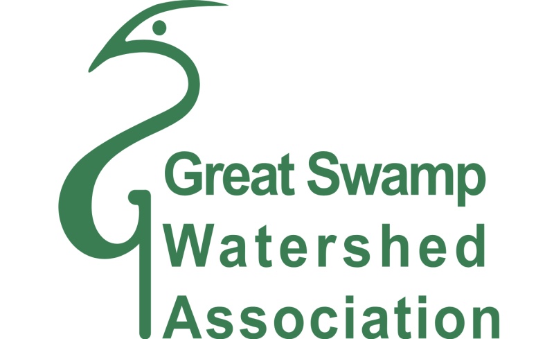 Great Swamp Watershed Association Awarded American Water Charitable Foundation 2025 Water and Environment Grant