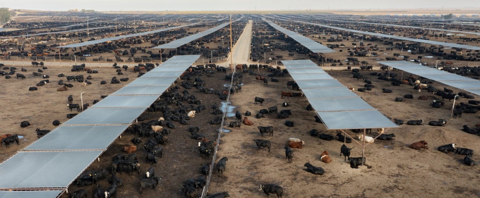USDA subsidies: Where is the money going