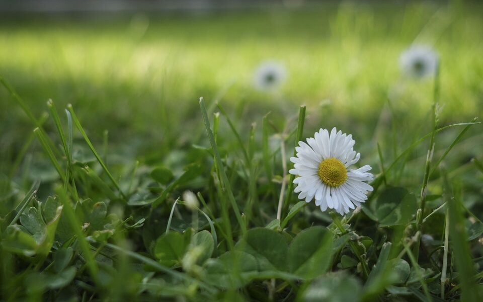 Mild, springlike weather expected across Greece on Sunday