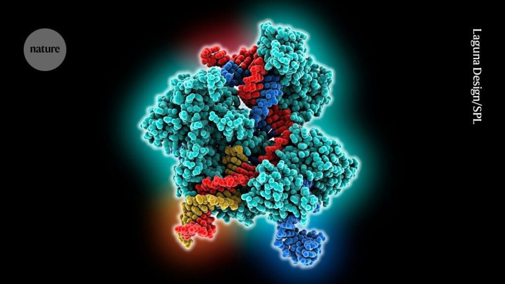 US Researchers have used 'Prime Editing', a cutting-edge gene-editing technique, to treat a person for the first time. The recipient is a teenager with a rare immune disorder.