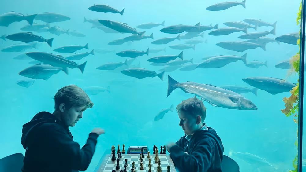 The Norwegian Chess Cup will be played at the Atlantic Sea Park.