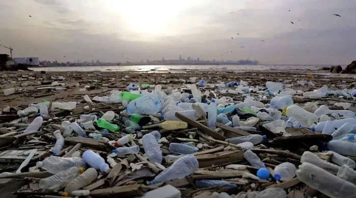 ‘Beyond Plastic Waste’ conference to mark Environment Day