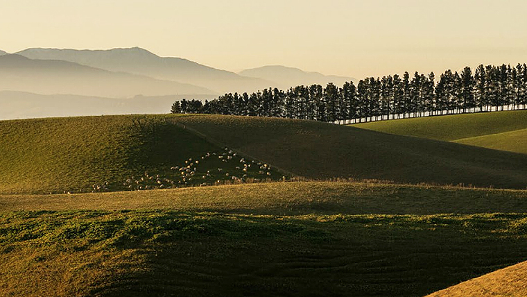 land use