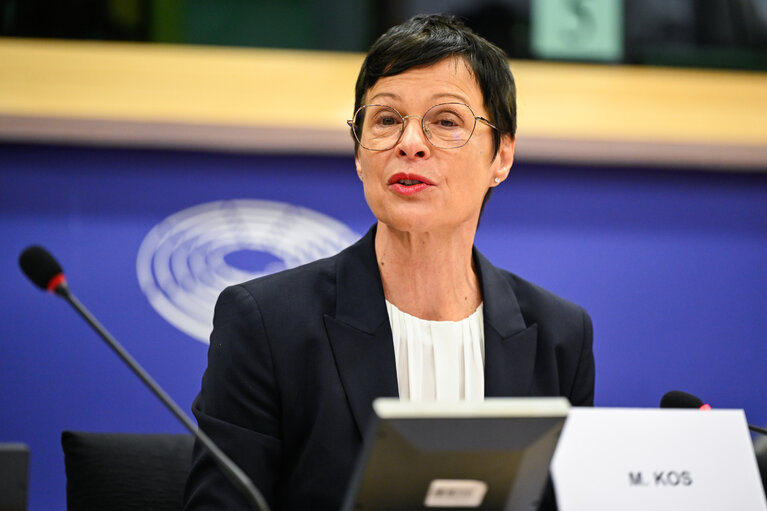 Marta Kos: There have been delays in the implementation of the Reform Agendas of the WB