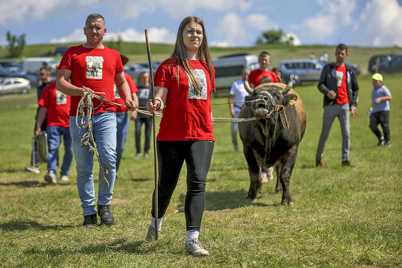Teen bullfighting trainer celebrates wins in Bosnia