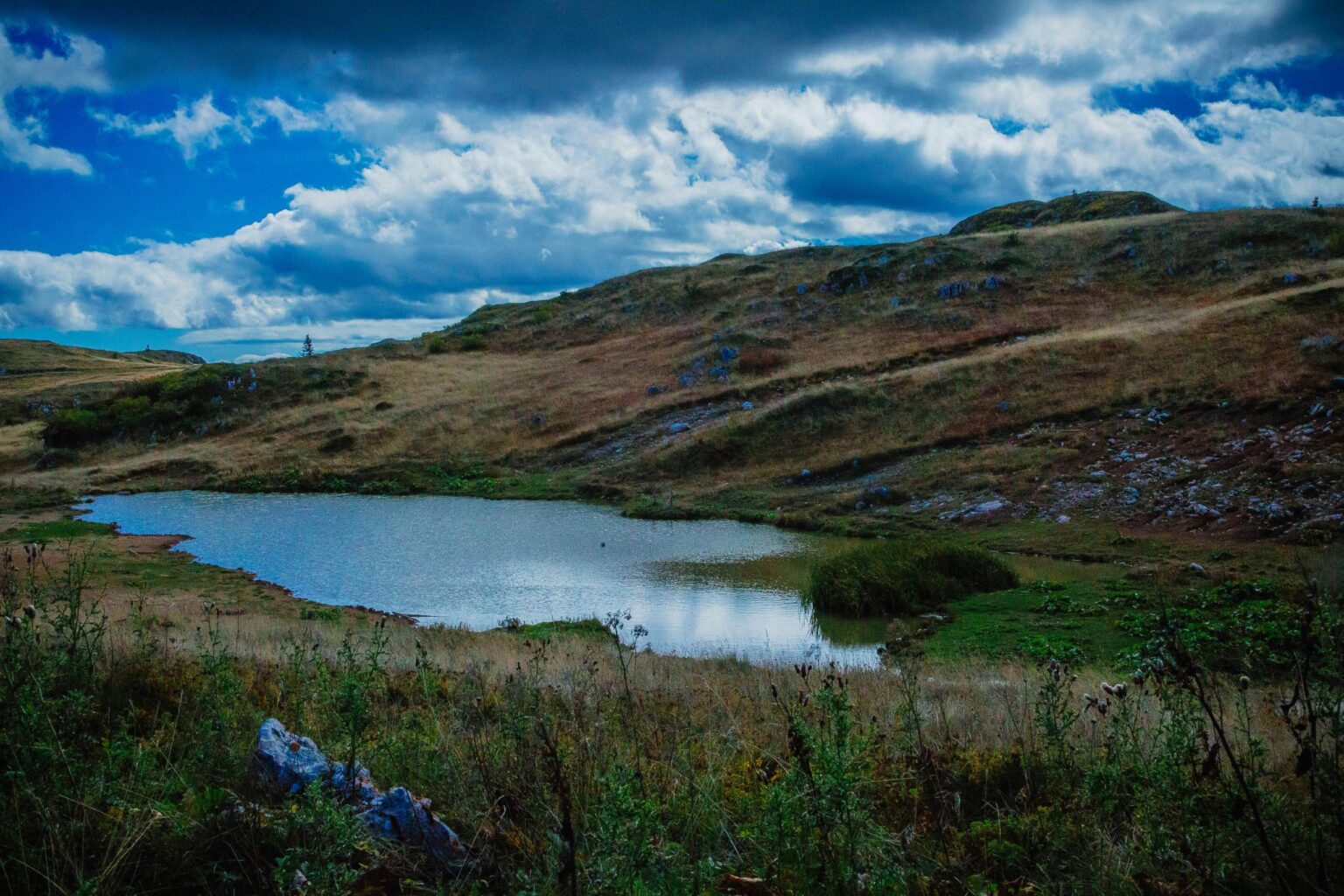 Bosnia and Herzegovina | Who Owns Agricultural Land?