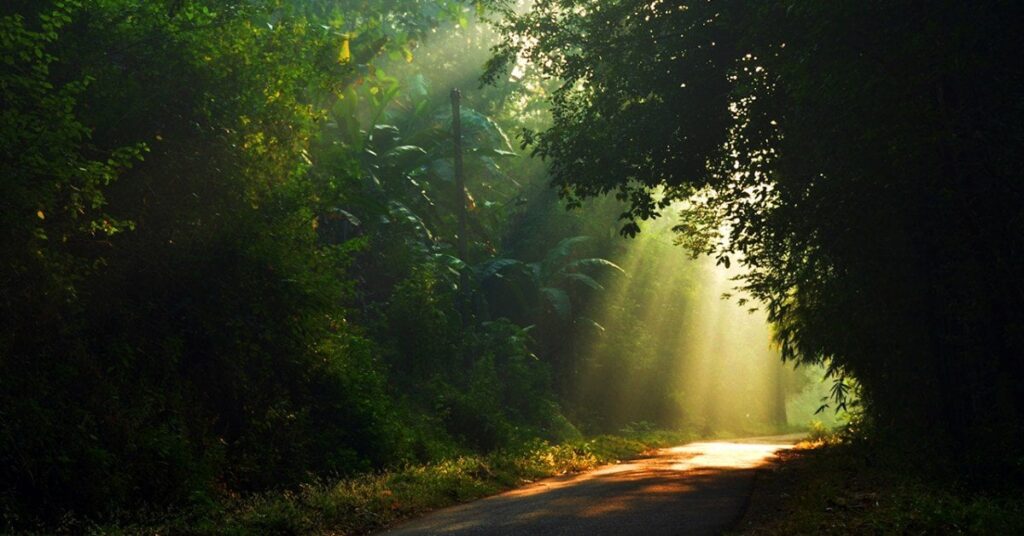 New global research reveals that despite the declining global favorability of organized religion, belief in concepts like the afterlife and nature spirits remains stronger—a trend consistent across countries and faiths.