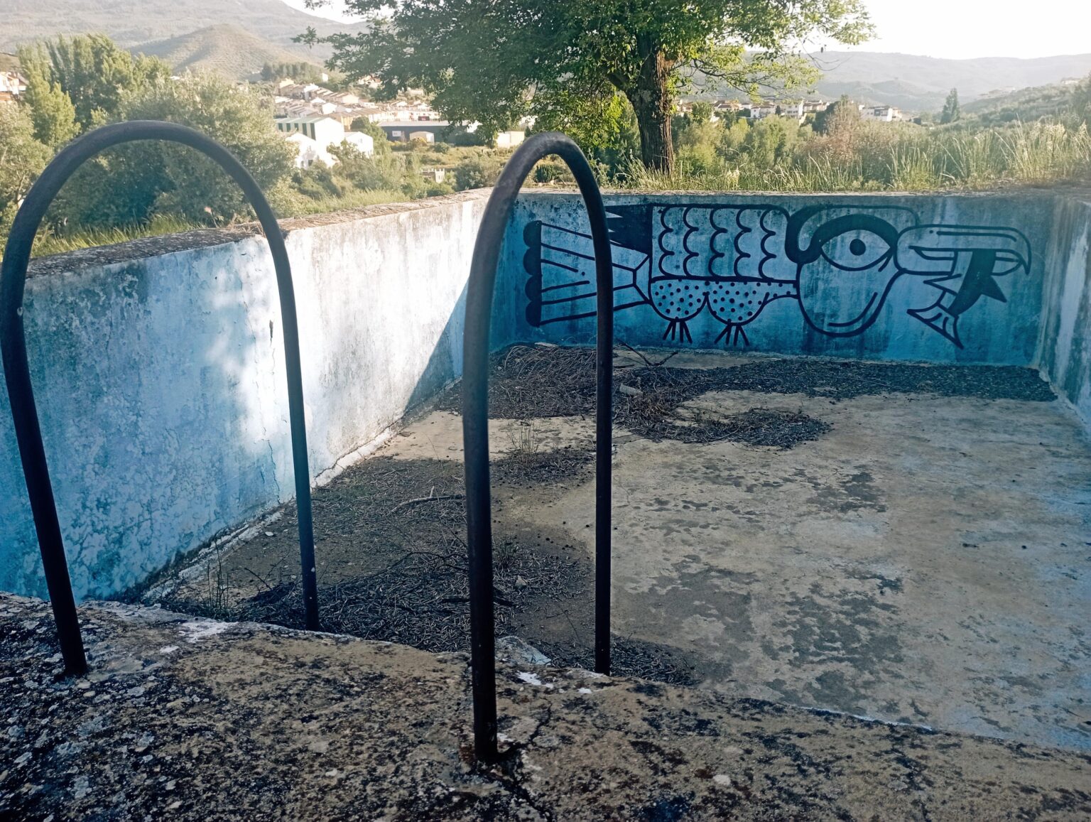 I found an abandoned pool walking through the field