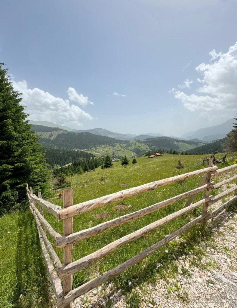 Rugova