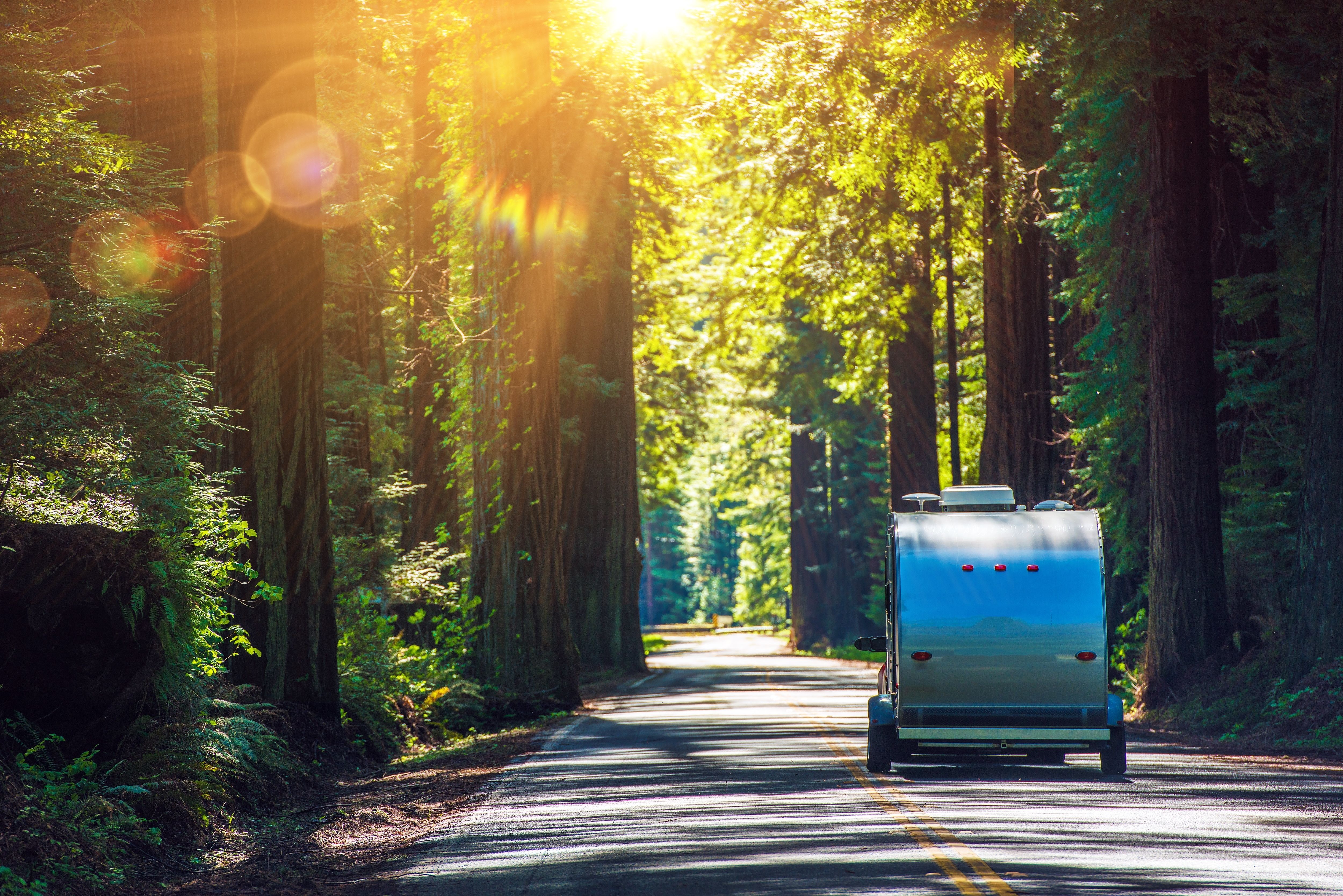 Travel Trailer RV on the Redwood Highway, California RVing