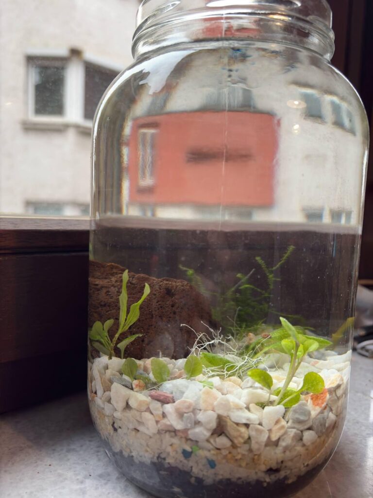 Walstad Method VTOR DEL – Tegarium Walstad Method VTOR DEL - Tegarium