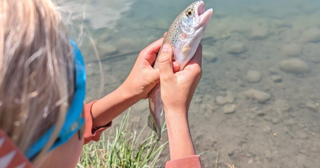 Conserving Western Slope Water and Fish Habitat with the Gunnison Gorge Anglers