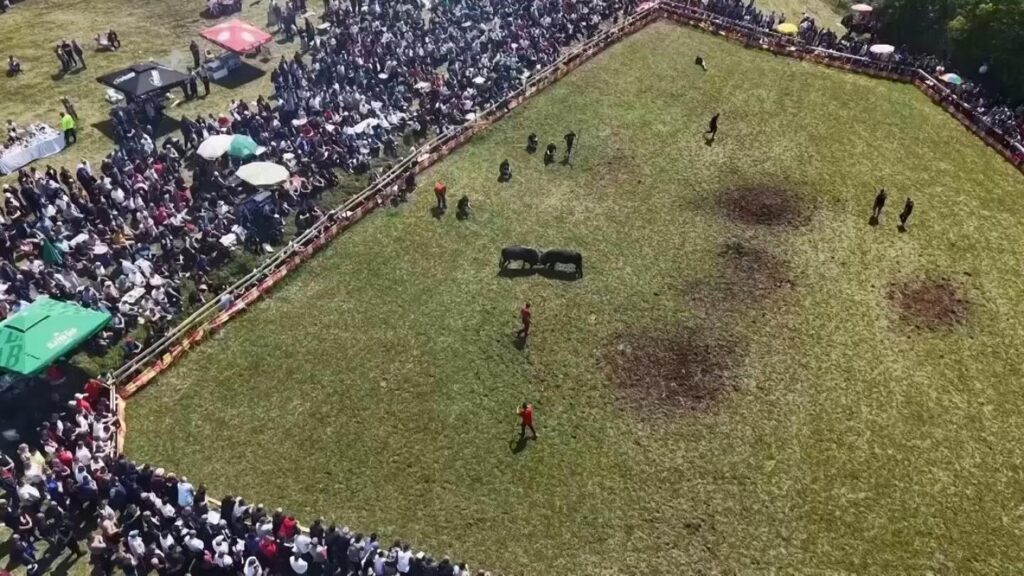 Bullfight spectators in central Bosnia run for safety after bull escapes ring