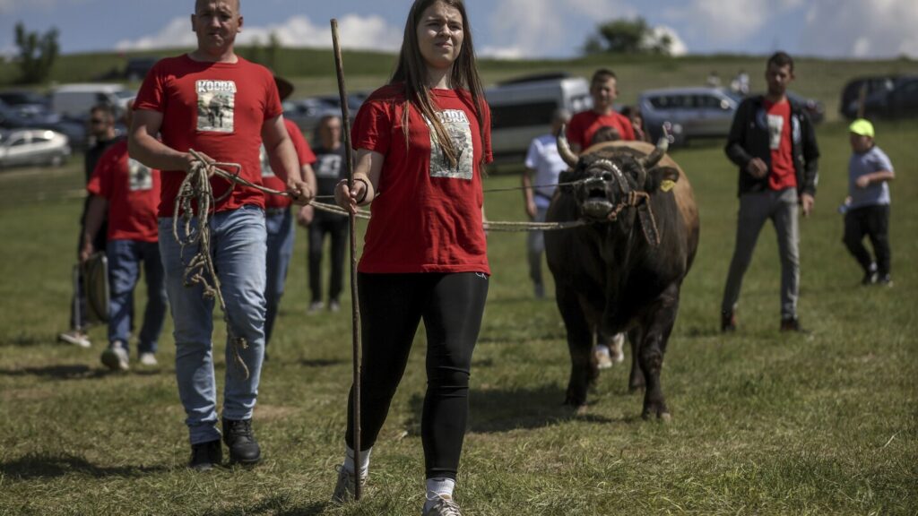 AP PHOTOS: A teenage bullfighting enthusiast celebrates victories in Bosnia