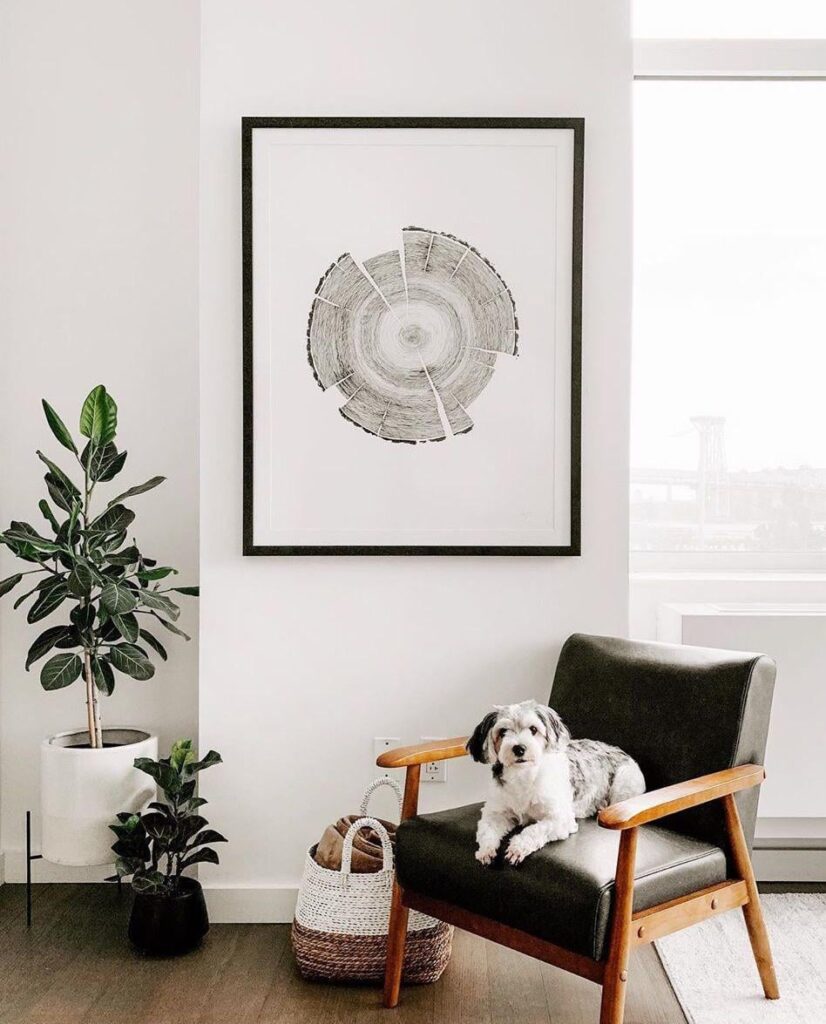 Where can I buy this framework?