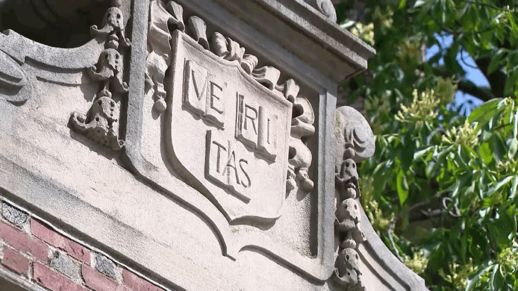Harvard programs focusing on veterans' mental health, cancer screenings at risk of federal cuts